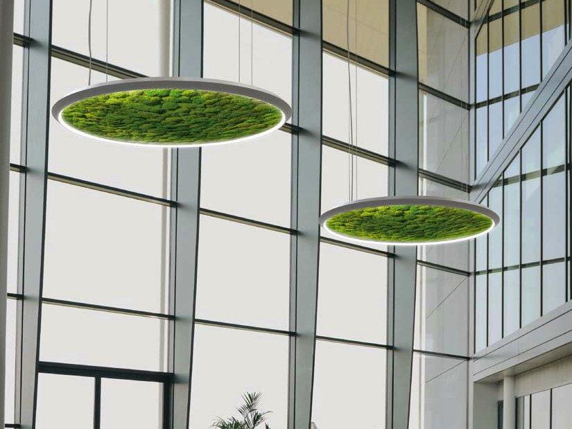 Dried moss LED pendant lamp | Luce Verde Slim by Sattler