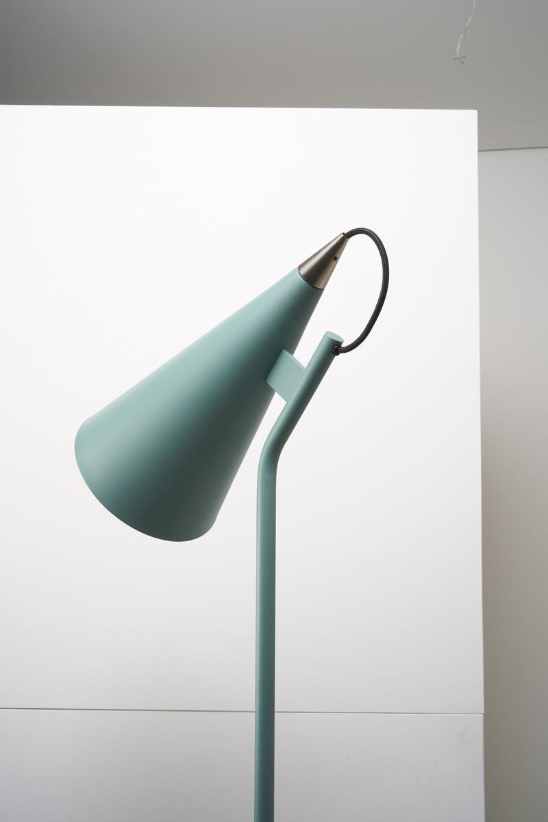 LED adjustable iron floor lamp | Jeena by Zava