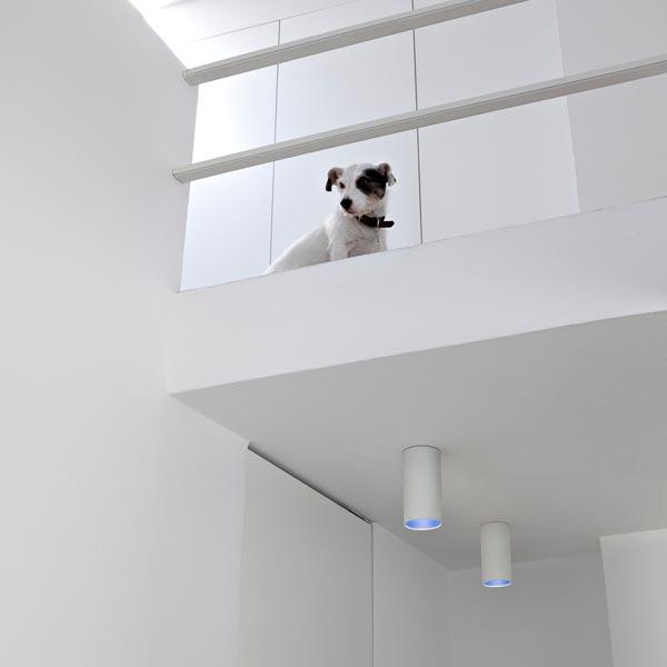 LED direct light polycarbonate ceiling lamp | Kap Surface by Flos