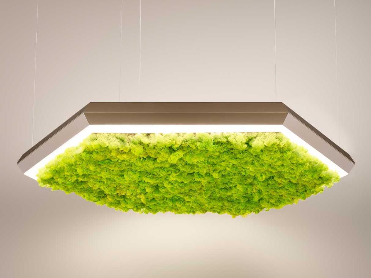 LED Lichen pendant lamp | Exagon Silence Green by Olev