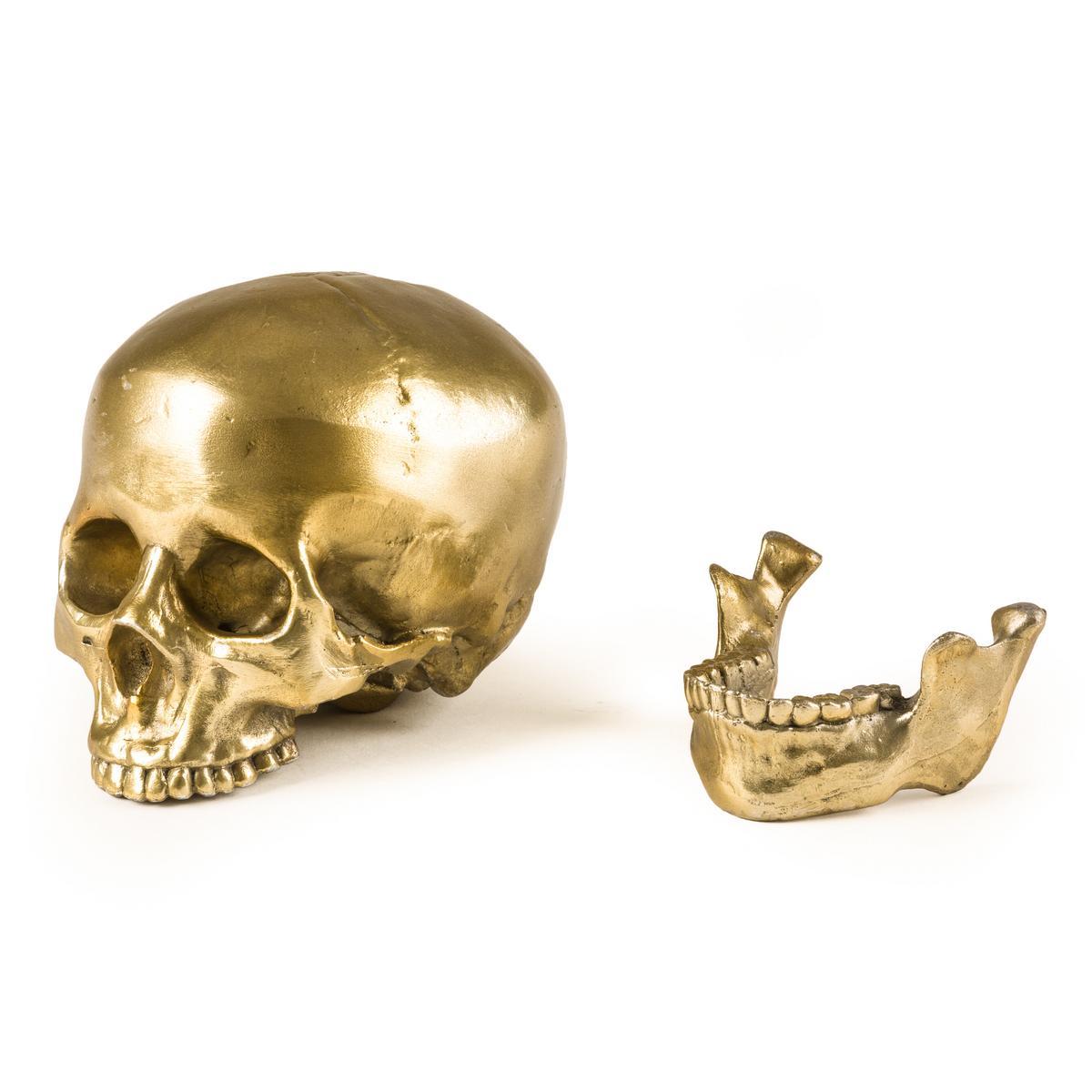 Aluminium decorative object | Human Skull by Seletti