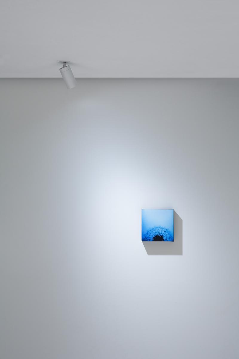 LED adjustable spotlight | Dot R by Davide Groppi