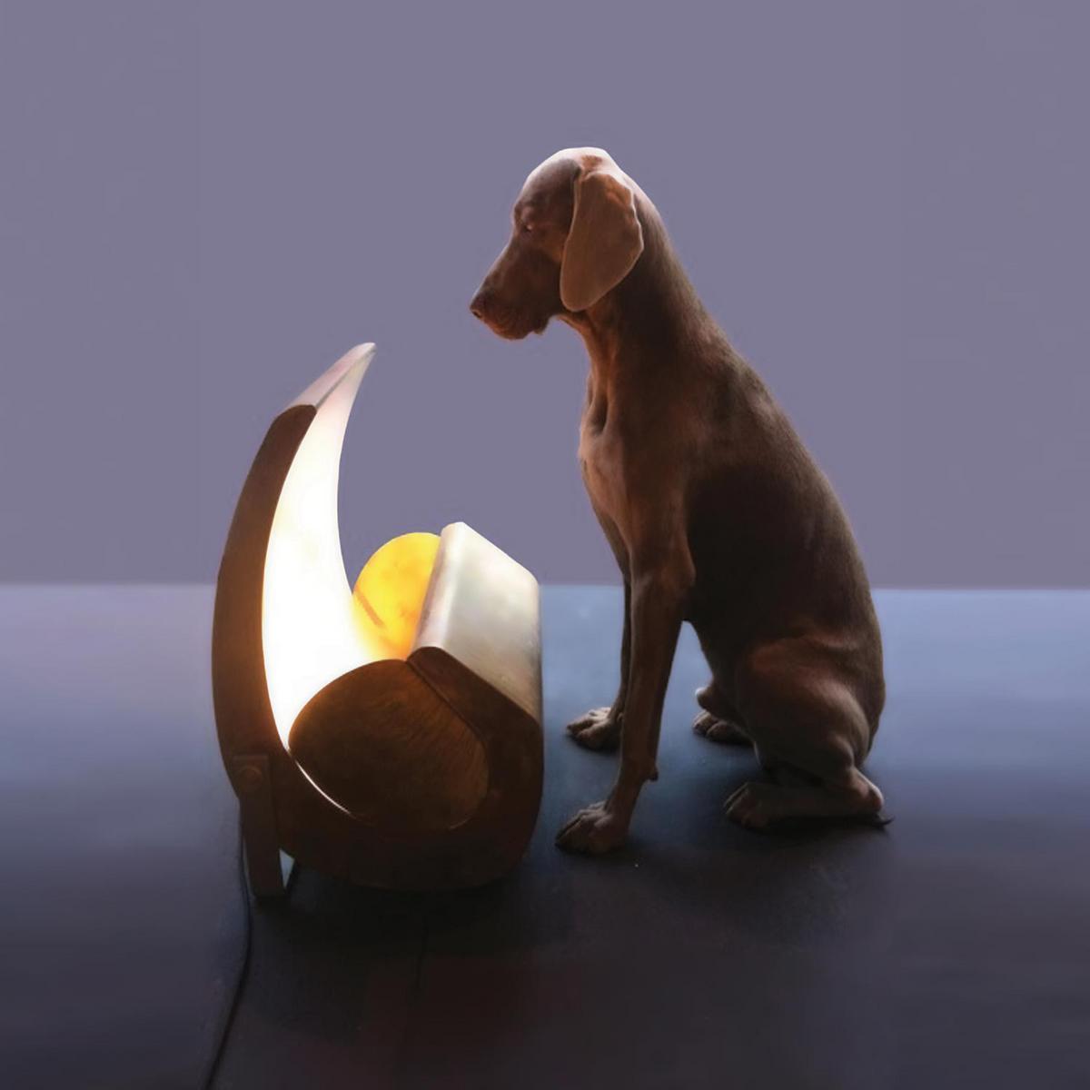 Indirect light brass floor lamp | Escargot by Nemo