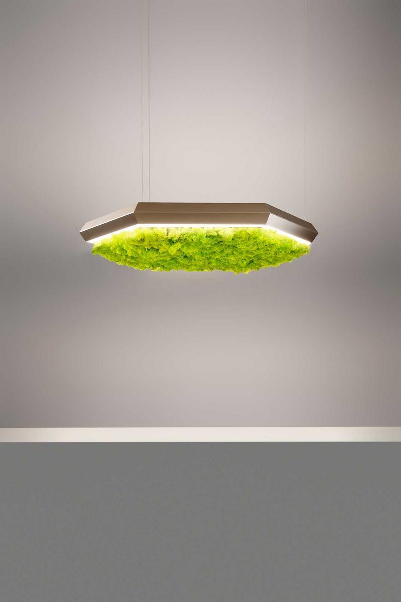 LED Lichen pendant lamp | Exagon Silence Green by Olev