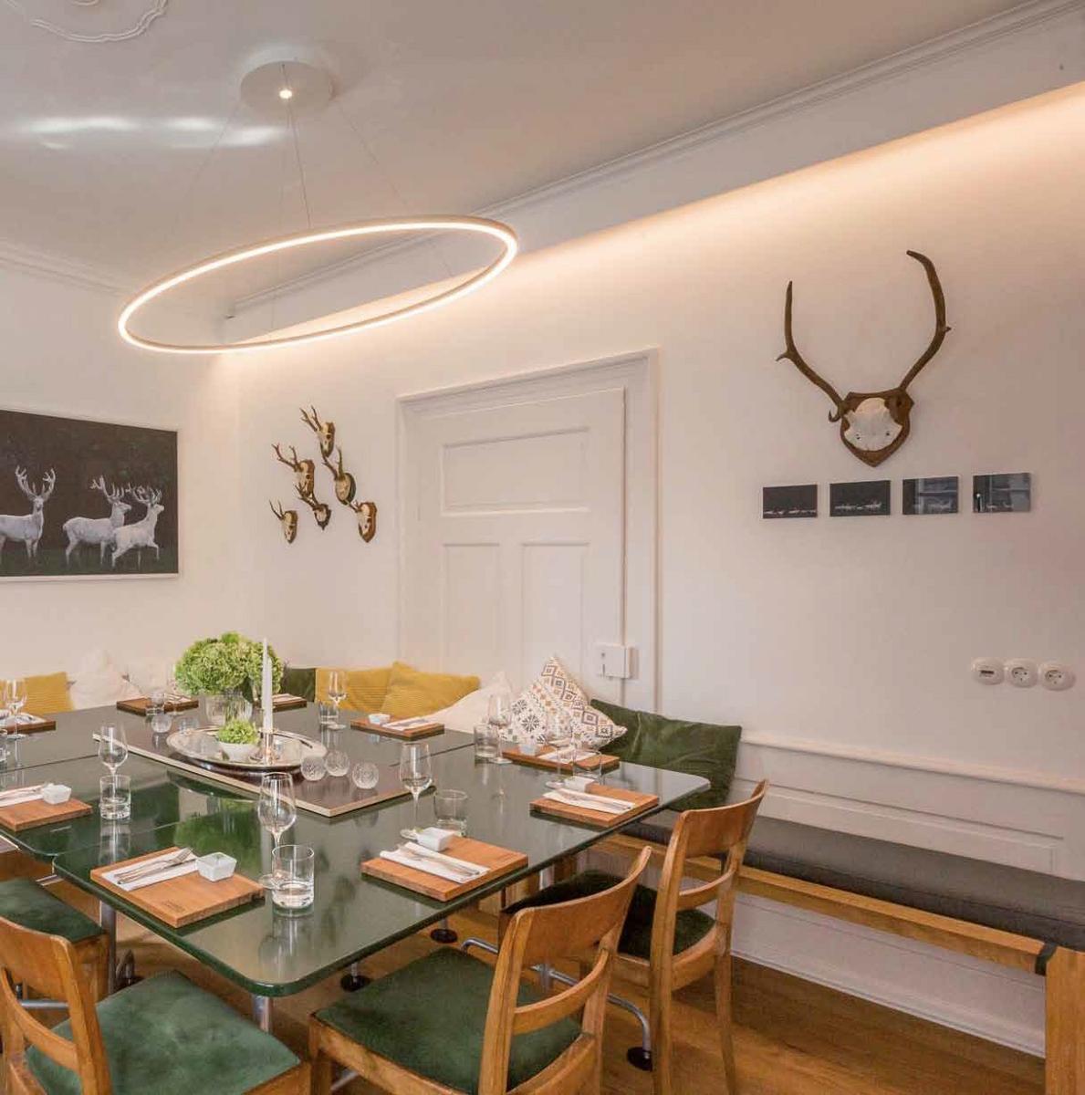 LED aluminium pendant lamp | Slim Ellipse by Sattler