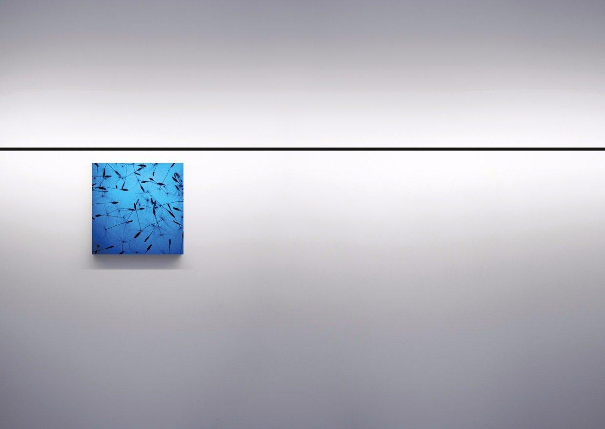 Wall lamp / ceiling lamp | Infinito by Davide Groppi