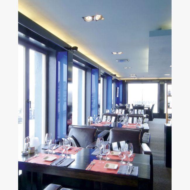 Multiple adjustable recessed spotlight | Grid In Trimless by Delta light