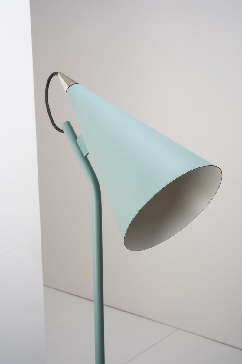 LED adjustable iron floor lamp | Jeena by Zava