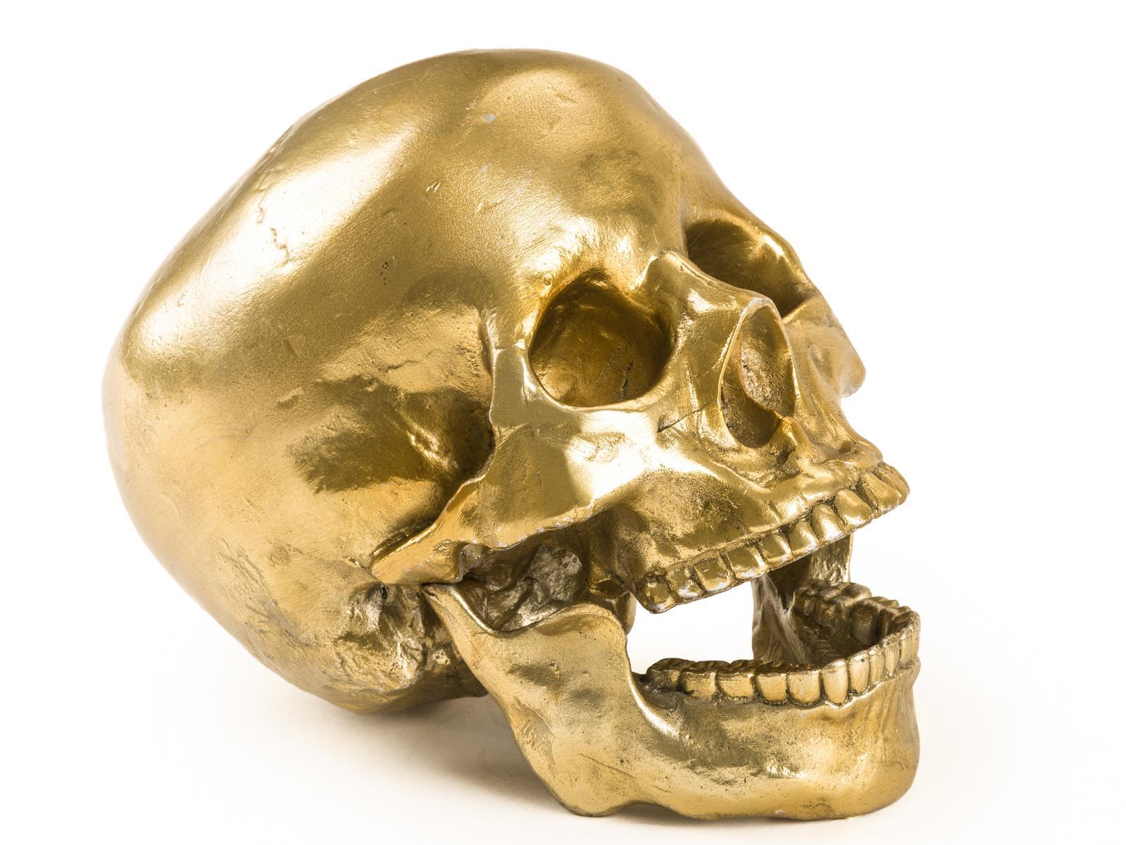 Aluminium decorative object | Human Skull by Seletti