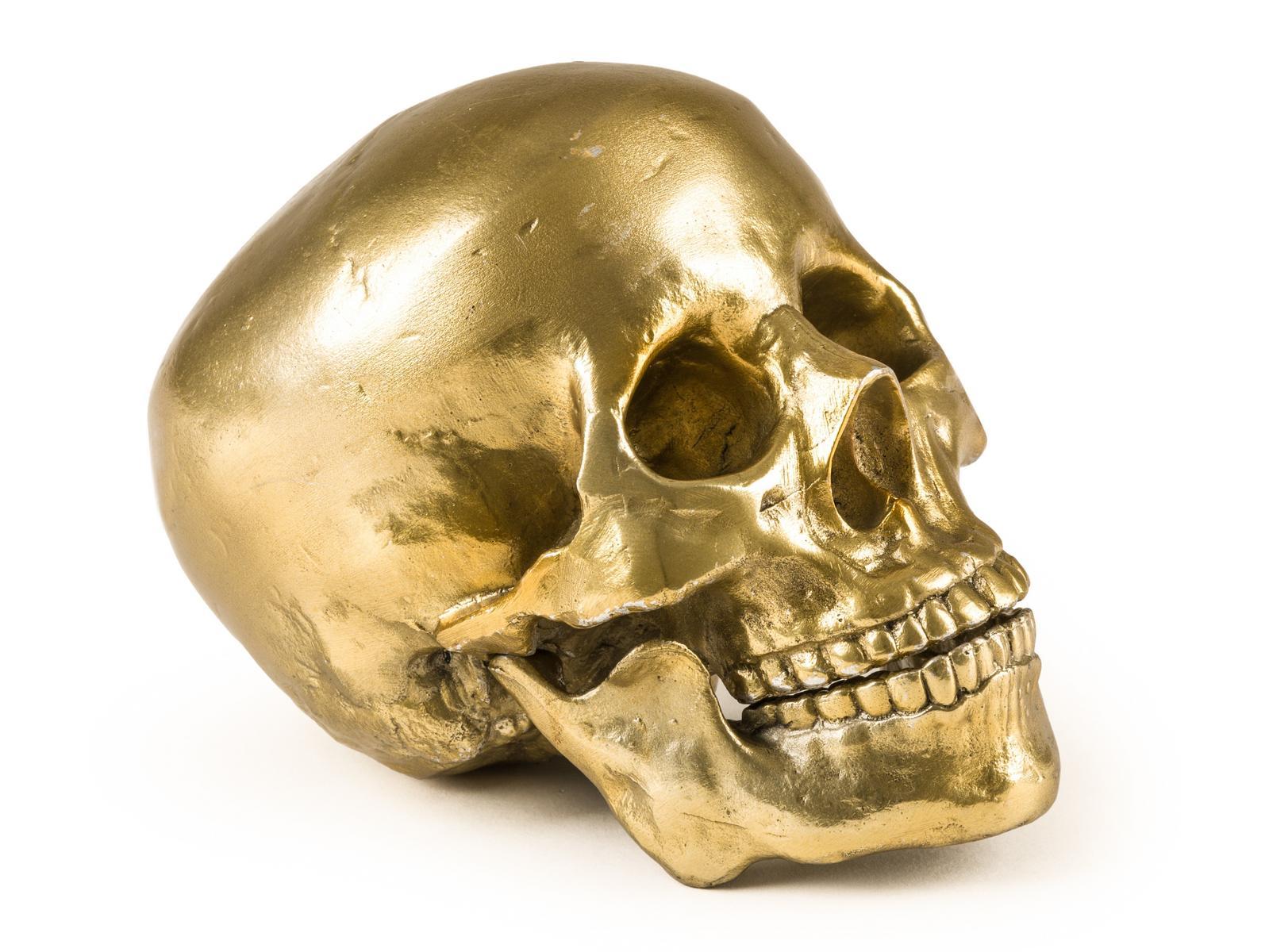 Aluminium decorative object | Human Skull by Seletti