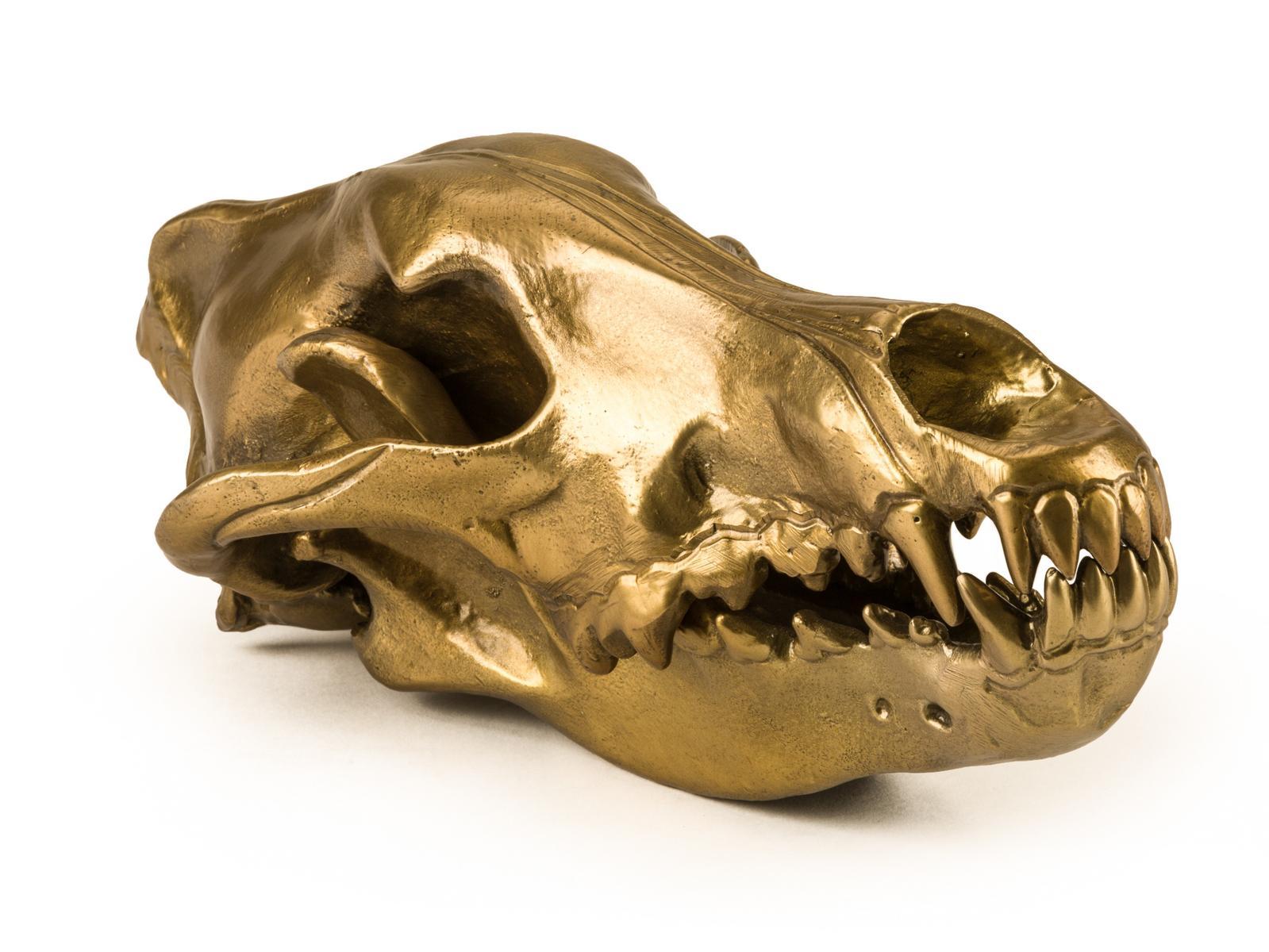 Aluminium decorative object | Wolf Skull by Seletti