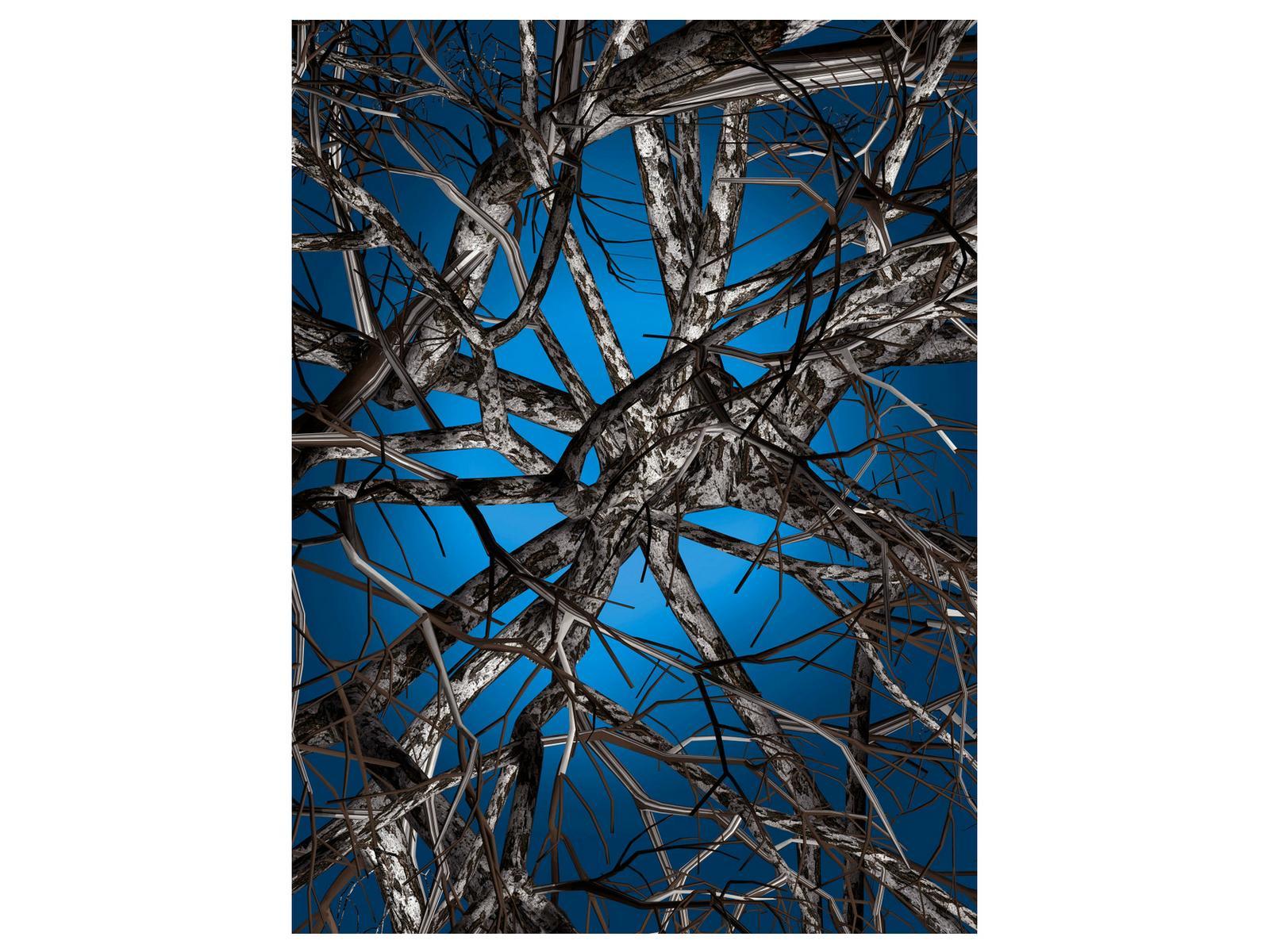 Rectangular rug | Liquid Birch by Moooi