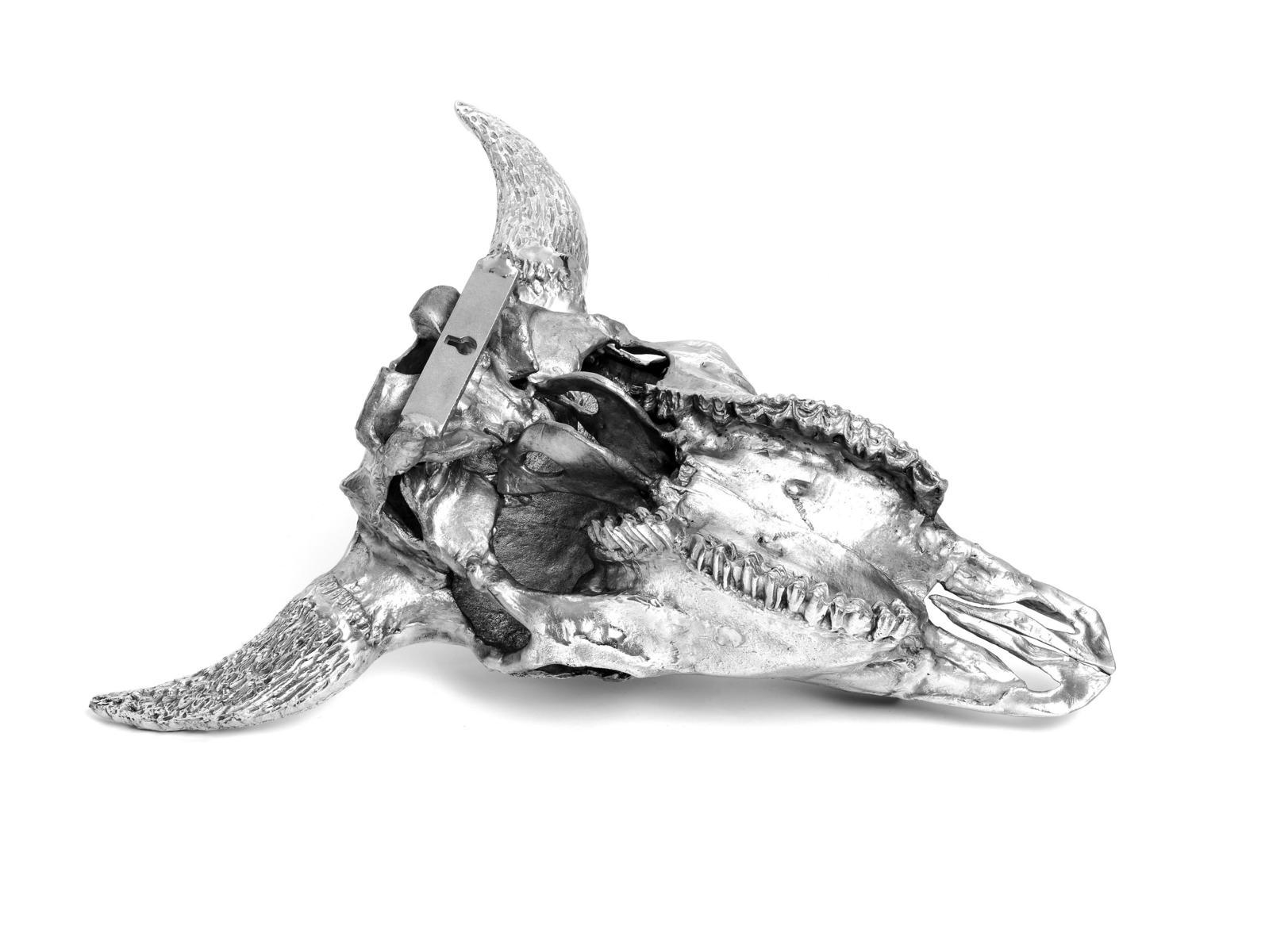 Aluminium decorative object | Bison Skull by Seletti