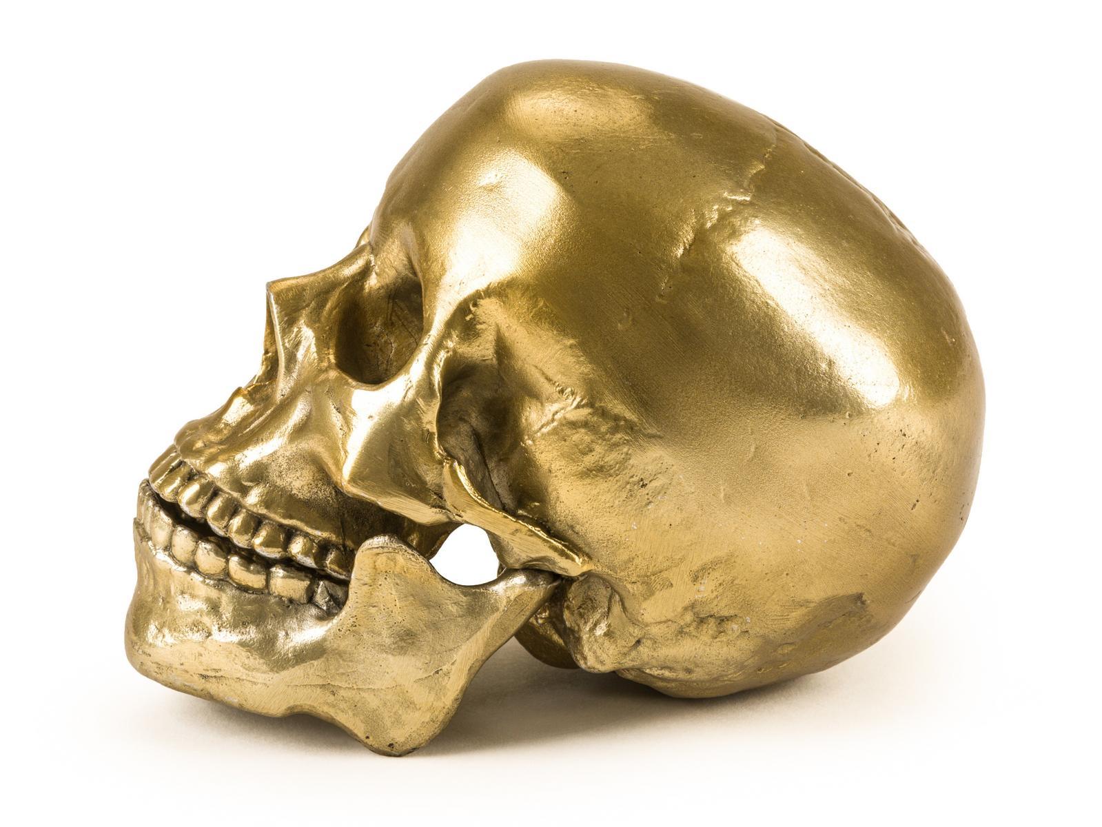 Aluminium decorative object | Human Skull by Seletti