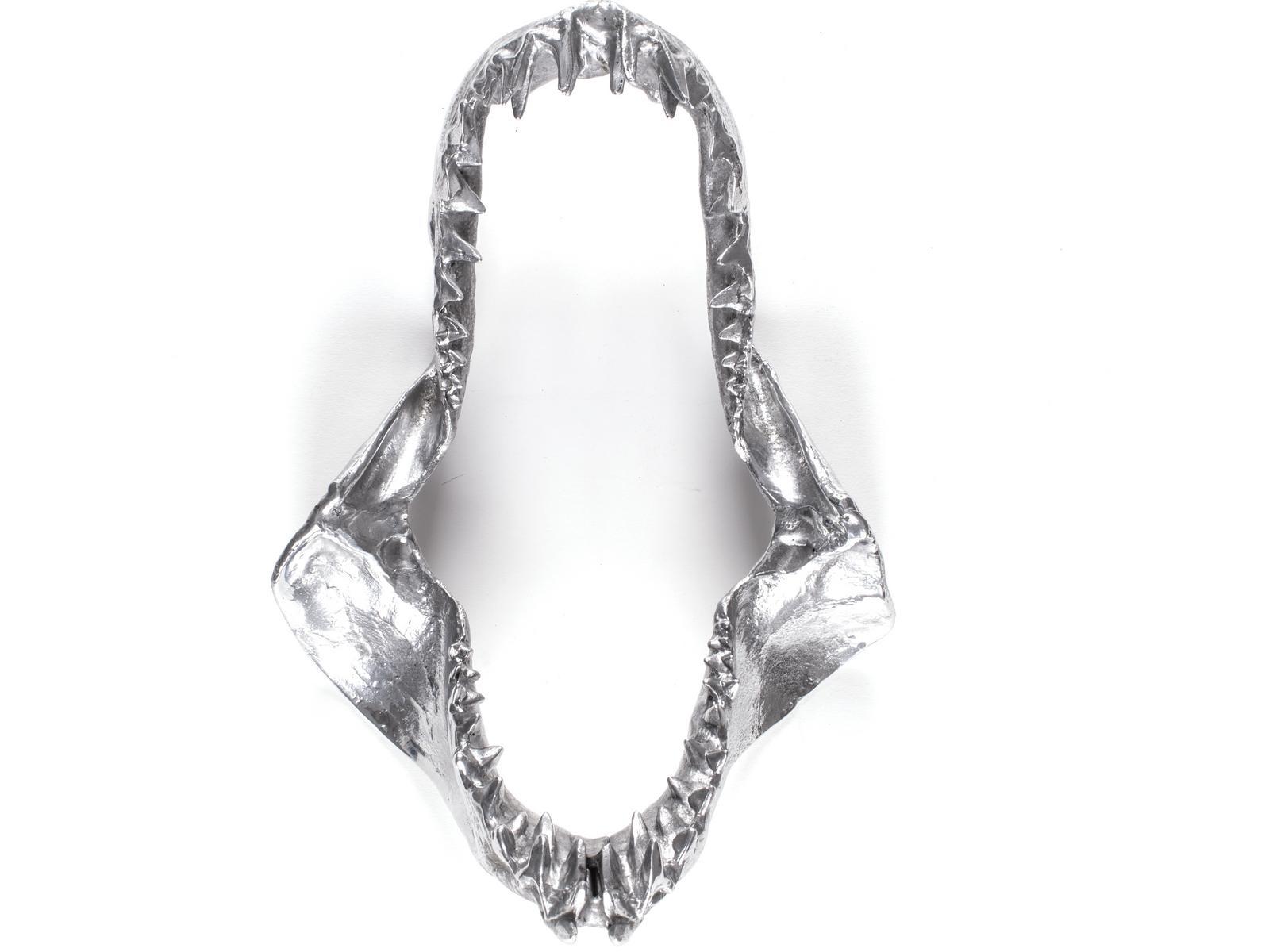 Aluminium decorative object | Shark Jaw by Seletti