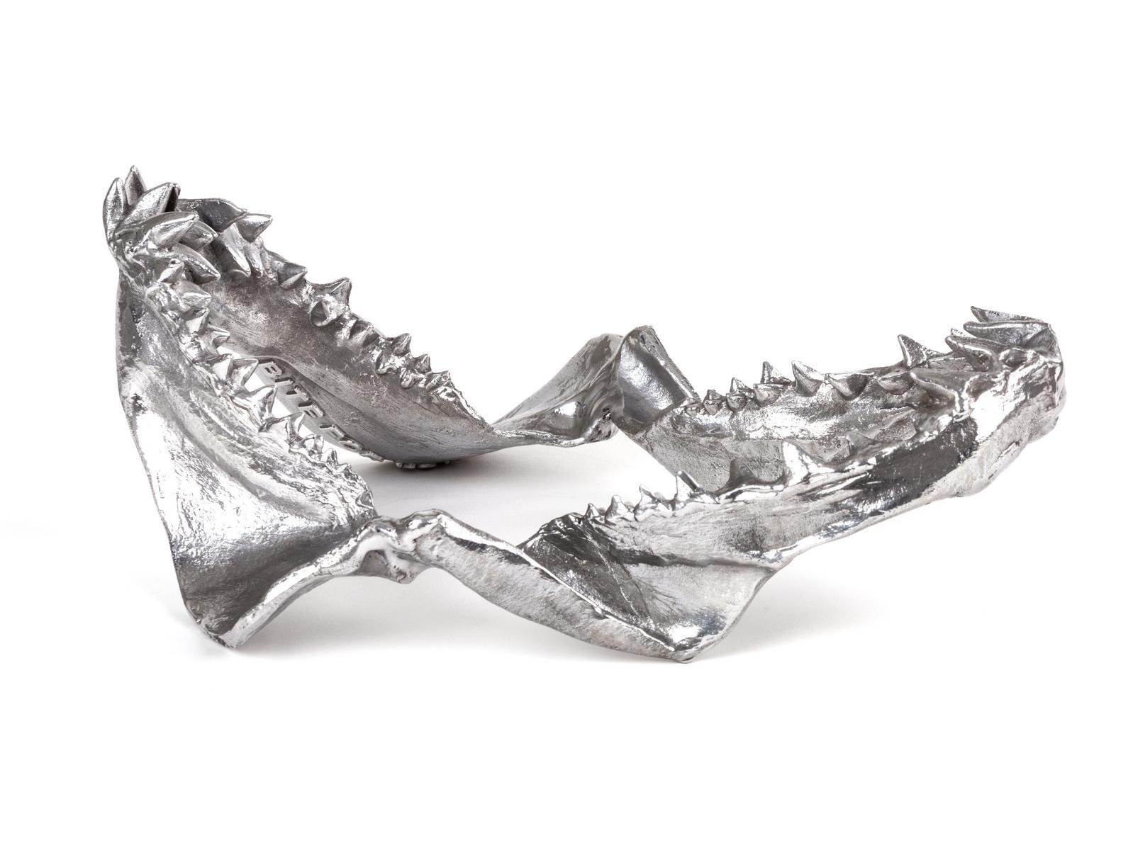 Aluminium decorative object | Shark Jaw by Seletti