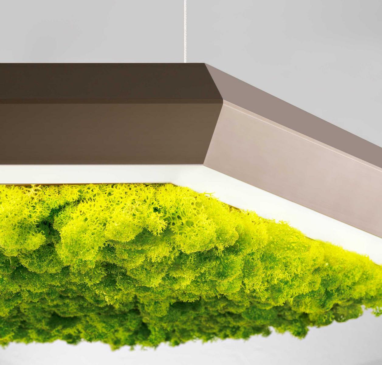 LED Lichen pendant lamp | Exagon Silence Green by Olev