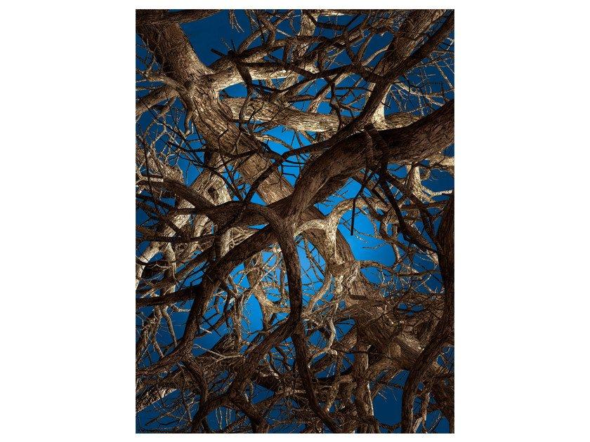 Rectangular rug | Liquid Maple by Moooi