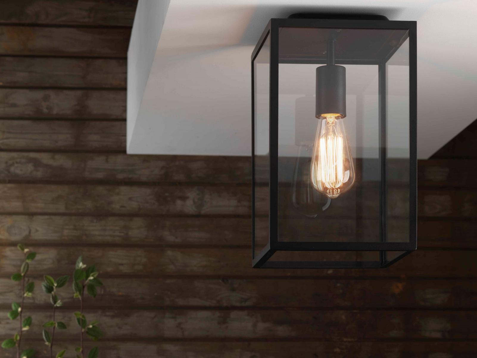 Glass and Stainless Steel outdoor ceiling lamp with dimmer | Homefield by Astro lighting