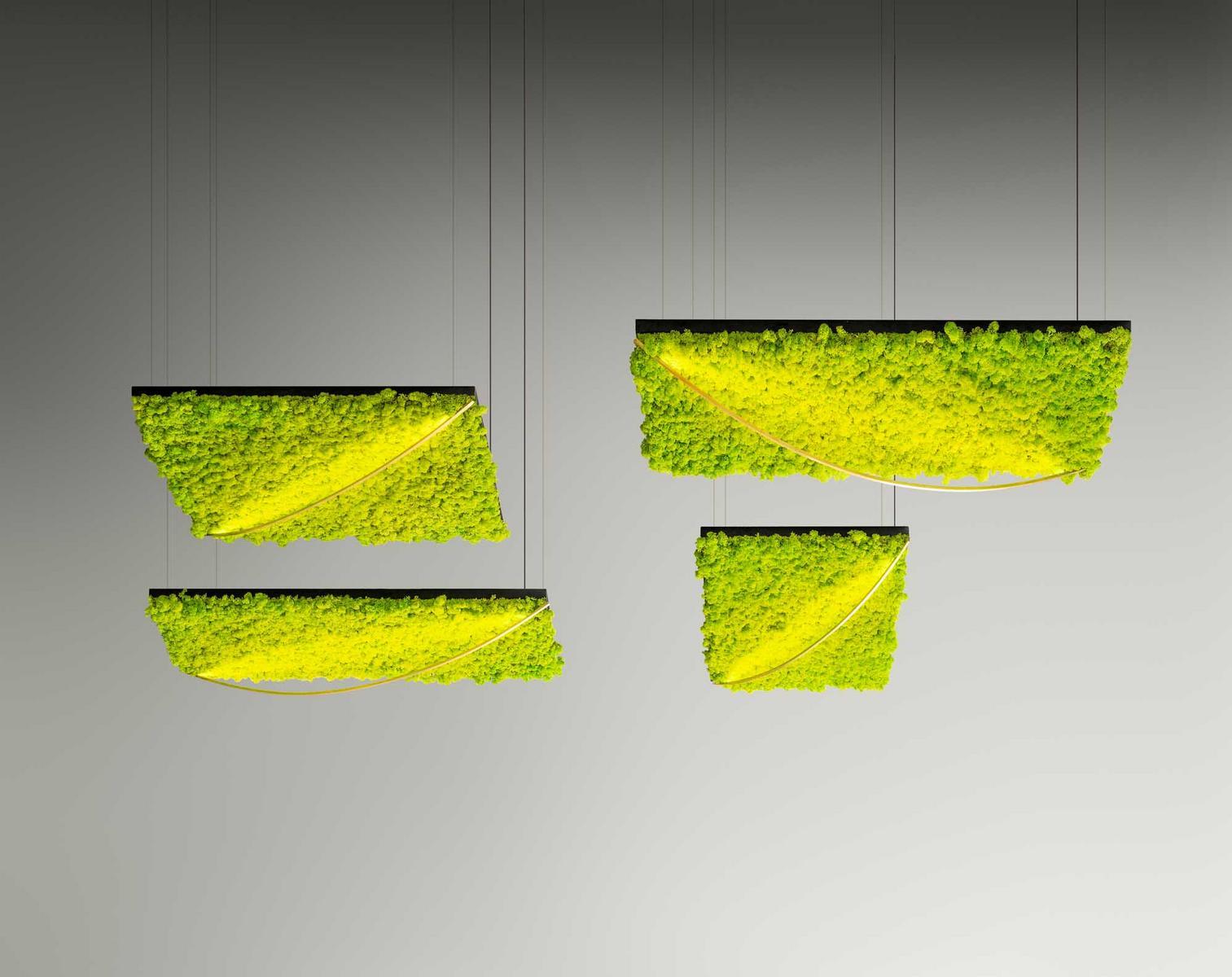 LED Lichen pendant lamp | Green Silence by Olev