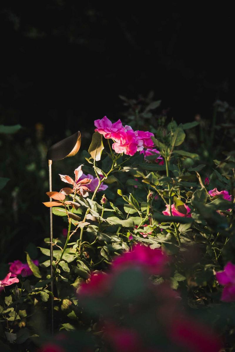 LED outdoor lamp | Zoe by Olev