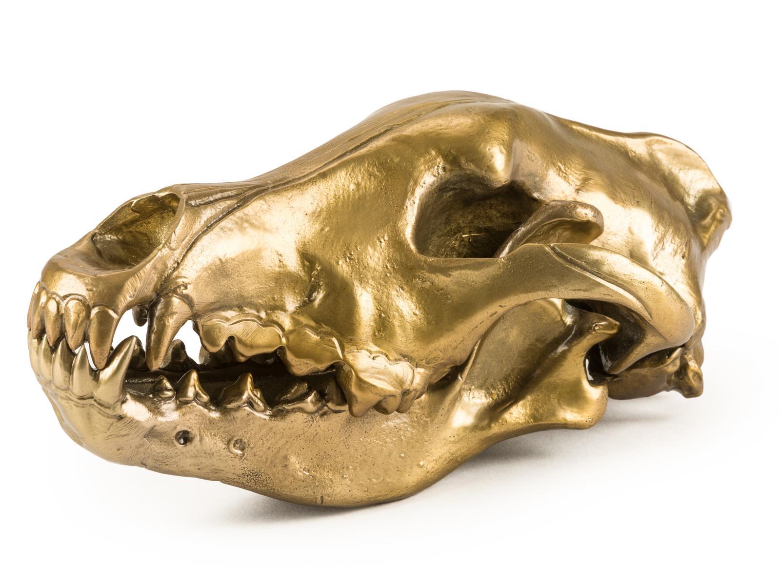 Aluminium decorative object | Wolf Skull by Seletti