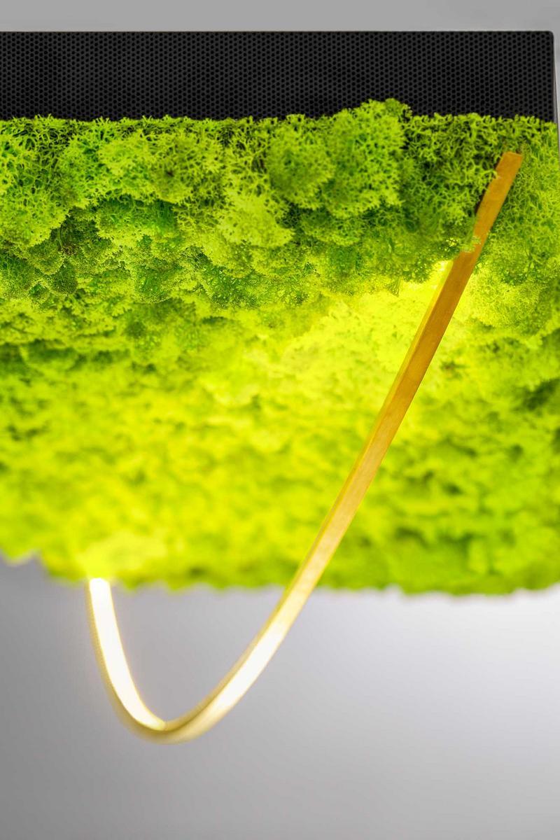 LED Lichen pendant lamp | Green Silence by Olev