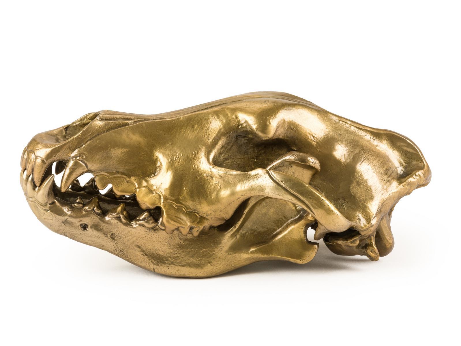 Aluminium decorative object | Wolf Skull by Seletti