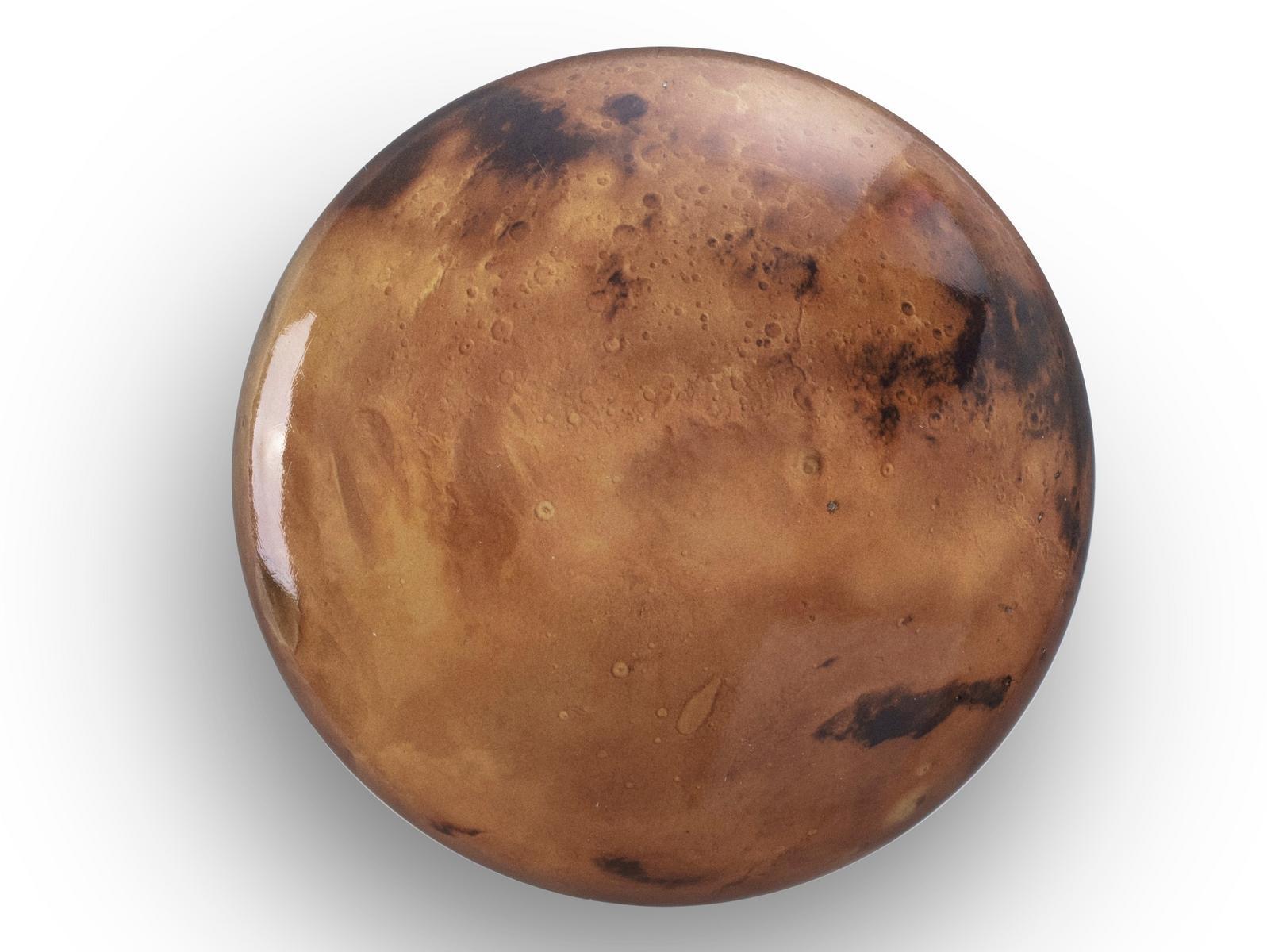 Wall-mounted oak coat rack | Venus by Seletti