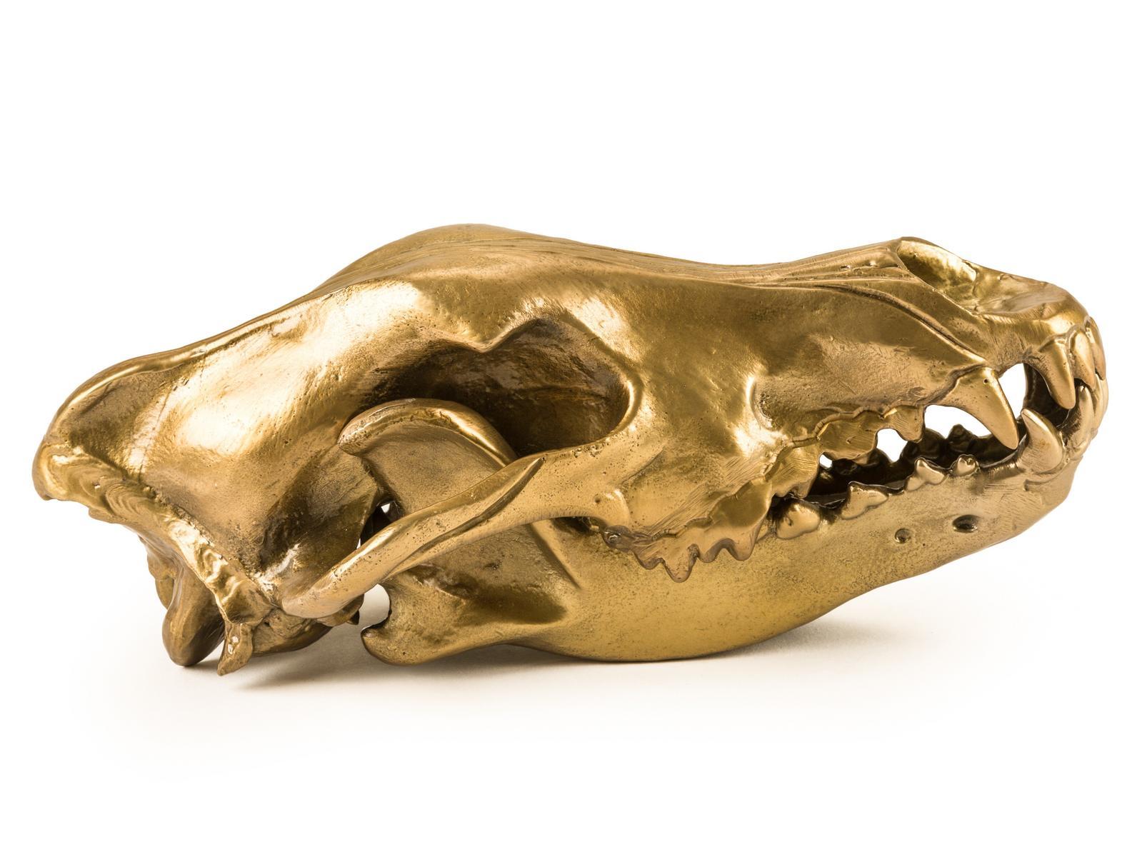 Aluminium decorative object | Wolf Skull by Seletti