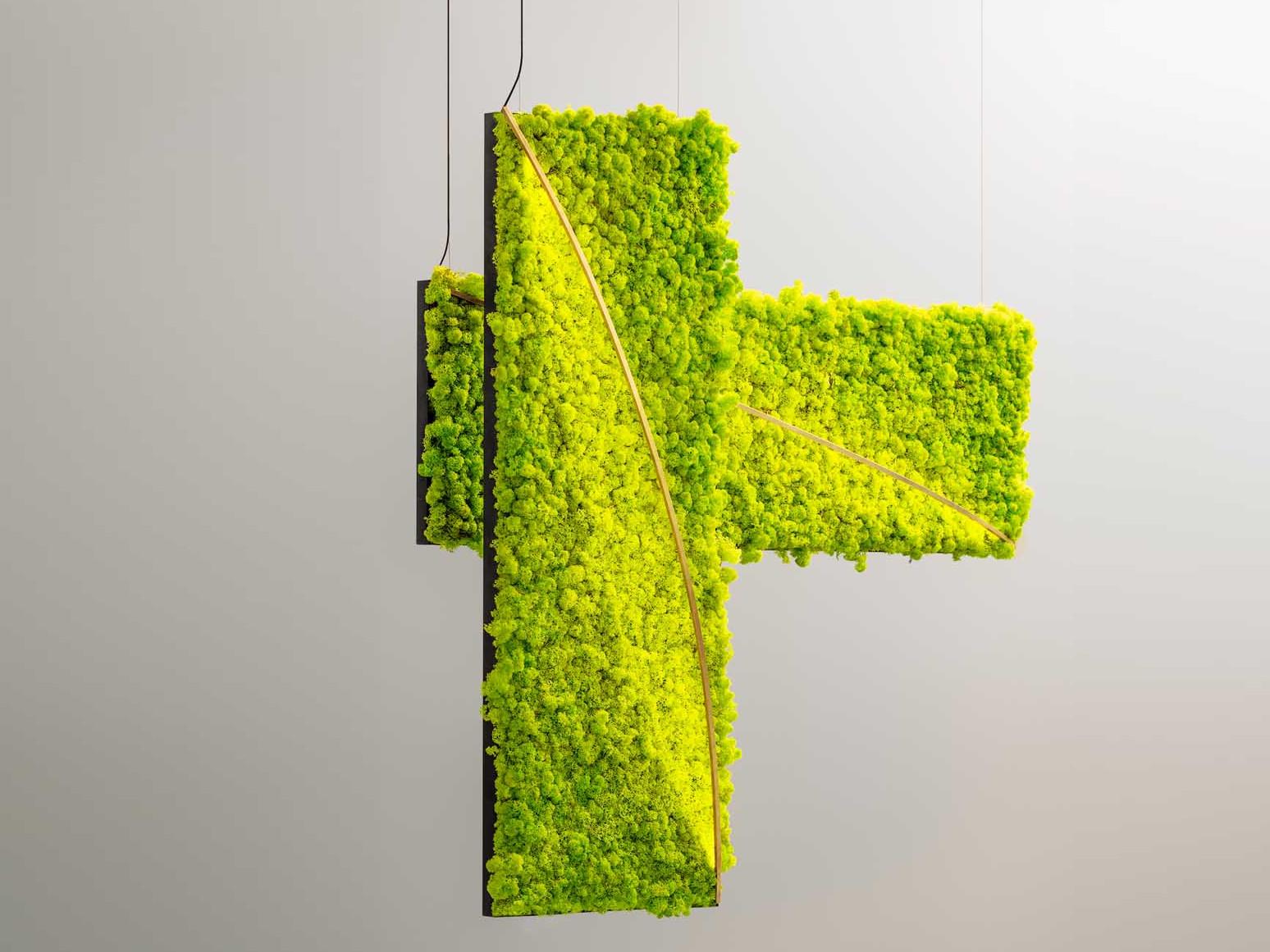 LED Lichen pendant lamp | Green Silence by Olev