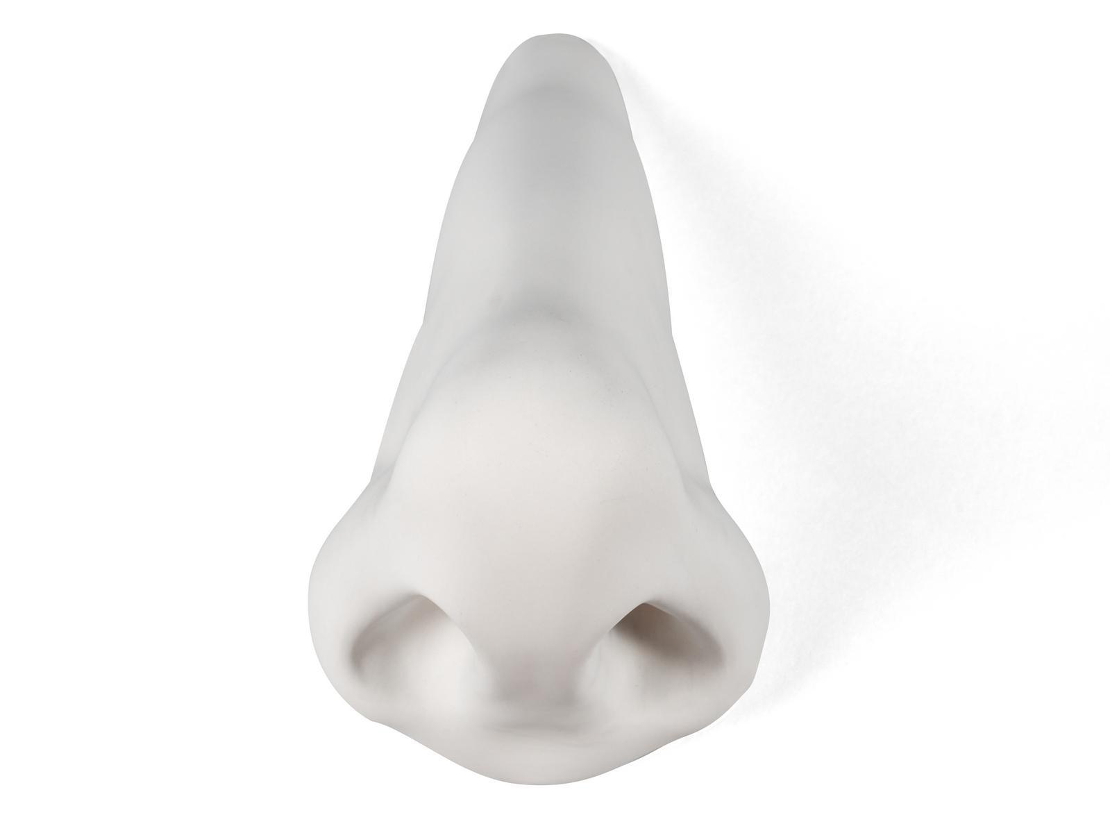 Porcelain decorative object | Nose by Seletti